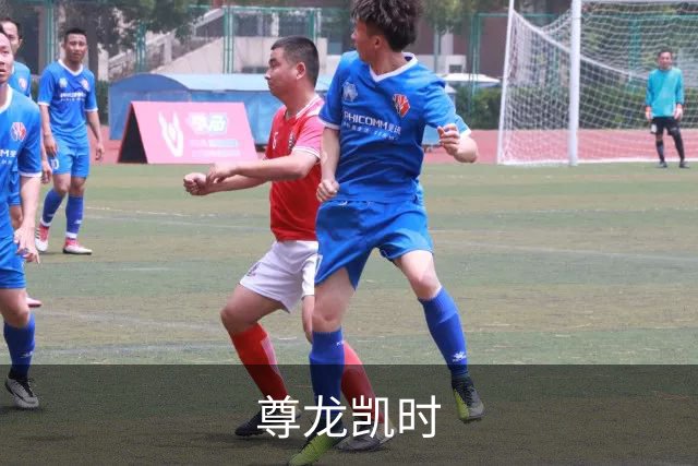 尊龙凯时公司简介图片